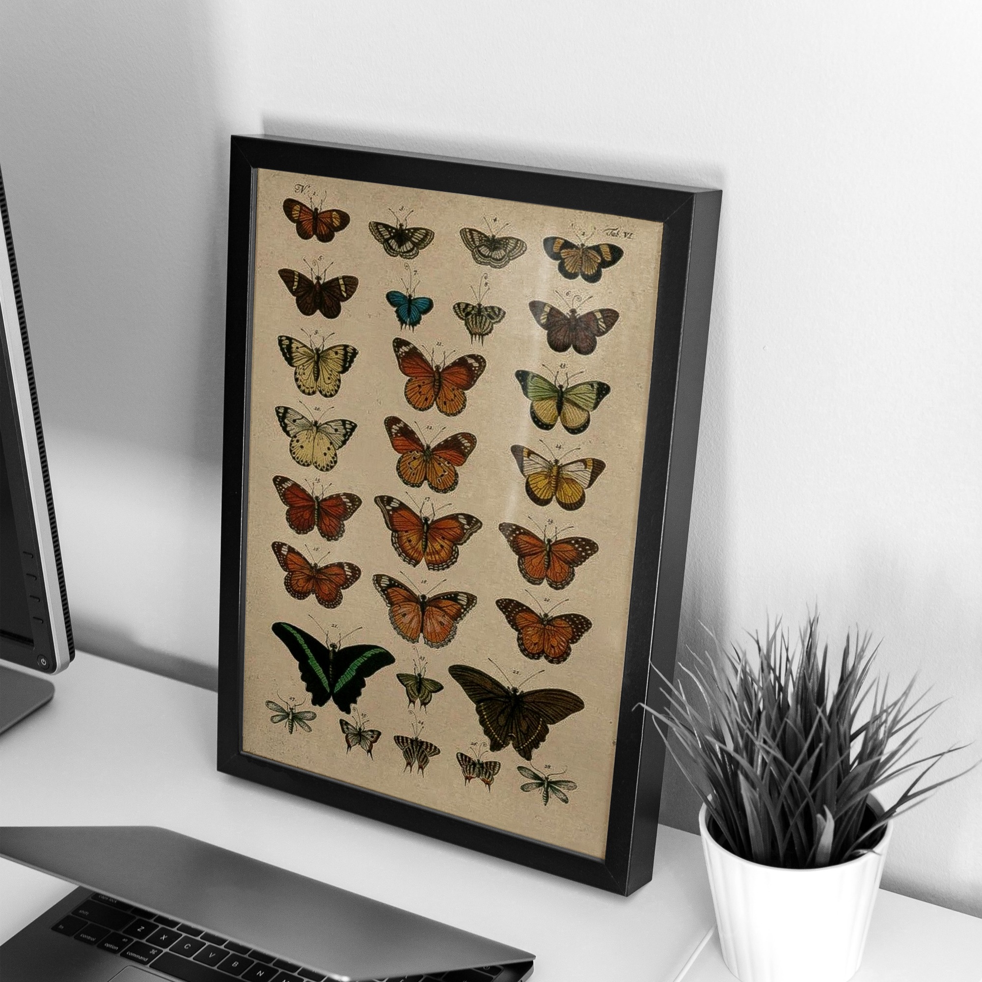 تابلو و فریم Butterfly